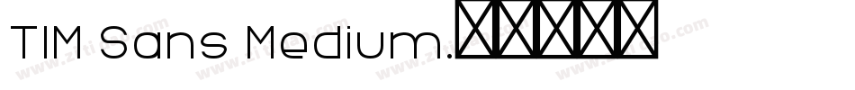 TIM Sans Medium字体转换